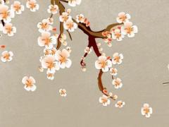 2023年屬虎的婚姻怎么樣呢女孩,2023年屬虎的婚姻怎么樣呢女寶寶