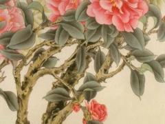 屬虎女的感情弱點(diǎn) 屬虎女對(duì)待感情