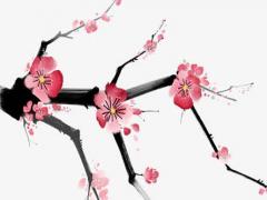 姓石好聽的名字