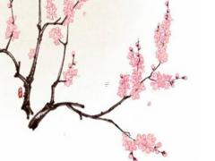 屬羊和屬兔八字合嗎 屬羊和屬兔合嗎