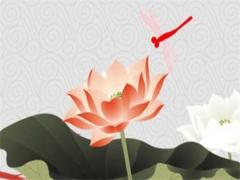 屬蛇男性找哪幾種生肖對象 生肖蛇男找什么生肖女好