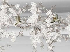 77年屬蛇運勢2023年運勢,77年屬蛇人2023年運勢如何