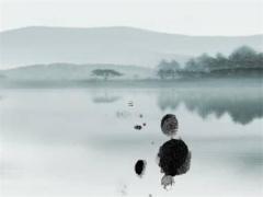 86屬虎男的一生婚姻 86年虎男的婚姻怎么樣