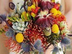 12星座誰最孝順父母