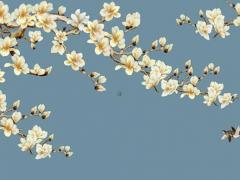 八字時柱空亡是事業不成嗎 時柱空亡是晚年悲慘嗎