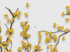 2023年黑兔走入青龍,2023年黑兔走入青龍的意思是什么