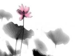 2023年屬兔多大了