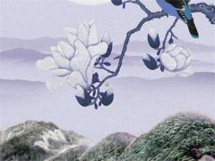 男馬和女牛的屬相合不合 男馬和牛女相配嗎