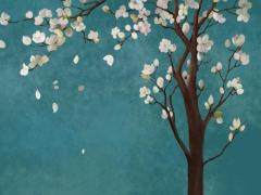 誰會八字算命什么的 誰算八字準(zhǔn)