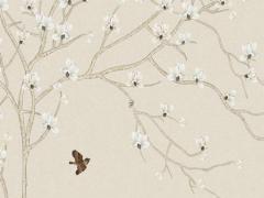 在美國亞馬遜買東西怎么轉運 如何從美國亞馬遜買東西到