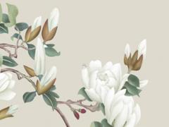 1988年屬龍人一生的命,1988年屬龍人一生命運如何1988年屬龍人2024年