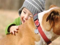 機(jī)靈睿智的寶寶名字大全 機(jī)靈睿智什么意思