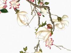 給吳姓男寶寶取名字 吳姓男寶寶取名字大全