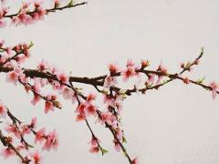 憂傷的網絡游戲網名大全 有哪些憂傷的網名