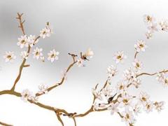 屬兔2023年陰歷幾月出生好命