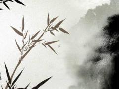 八字中代表木多代表什么 八字木多的特征