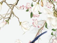 今年屬猴年齡表 屬猴的年齡對照表