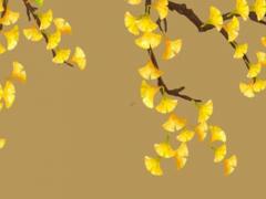 63年媽媽本命年兔