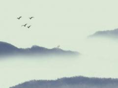 生辰八字斷官運何時能飛黃騰達 官運什么