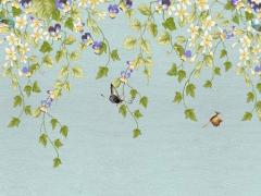 弱視怎么恢復視力 弱視怎么恢復視力12歲