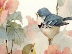 生辰合婚免費(fèi) 合婚生辰八字免費(fèi)測(cè)試