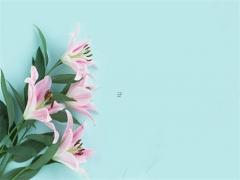 八字里的天干代表什么 八字中的天干是什么