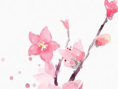 特別聰明的孩子要破相 太聰明的孩子該怎么教育