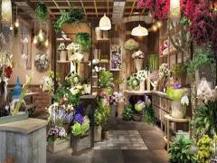 夢見給死去的奶奶蓋被子 夢見給已故的奶奶蓋被子