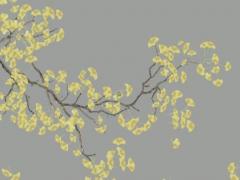 屬羊人跟誰(shuí)一起財(cái)運(yùn)好 屬狗人跟誰(shuí)一起財(cái)運(yùn)好