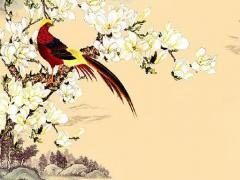 屬雞運勢2023年運勢詳解,屬雞2023年三大喜事