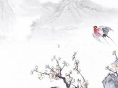 1963年屬兔男壽命,1963年的屬兔男在2023怎么樣