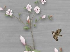 屬猴和屬啥的屬相最好,屬猴的和屬什么的在一起好