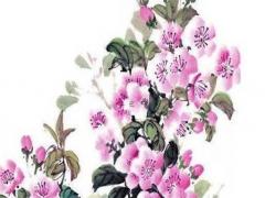 2023年生肖鼠運勢詳解及運程,生肖鼠在2023年的運勢以及注意月份