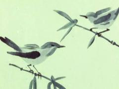 2023屬馬的人運氣怎么樣呀女生,2023年屬馬的人運氣怎么樣