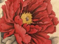 屬兔男和屬羊女真的是絕配嗎,屬兔男和屬羊女婚配合不合