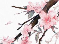 算命的算出生生女兒 算命生女孩準嗎