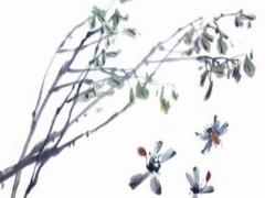 這個八字是什么情況 八字到底是啥