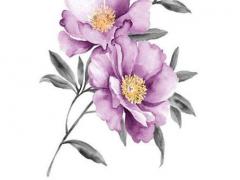 屬猴的與屬馬的婚配合適嗎,屬猴和屬馬合不合適