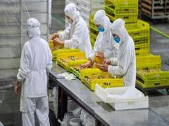 夢(mèng)見水周圍是柳樹葉子 夢(mèng)見柳樹葉子很綠