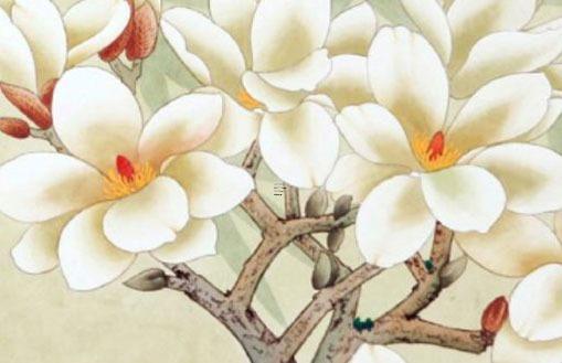 1998年在2023年的運(yùn)氣,1998年屬虎24歲以后一生命運(yùn)