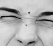 看手相說有兩條命好嗎 看手相說有兩條命好嗎