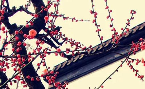 屬蛇人跟誰一起財(cái)運(yùn)好,屬鼠人跟誰一起財(cái)運(yùn)好