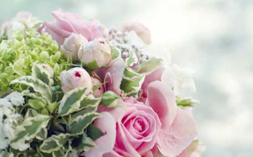 愛星座 星盤 愛星座 星盤