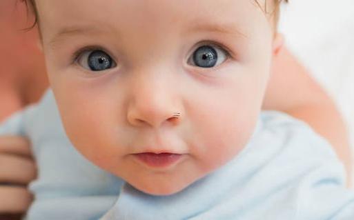 屬牛的人取名 屬牛的人取名字要注意什么？