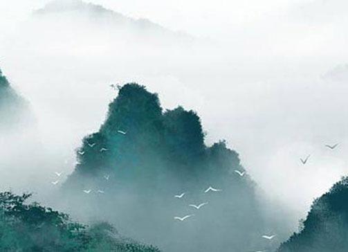 屬虎2023的幸運色是什么顏色,2023屬虎人運勢及運程