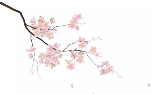 屬兔人戴什么項鏈最好,屬兔戴什么飾品