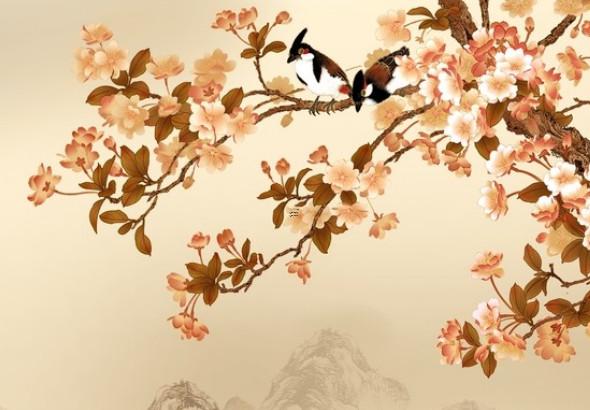 男為什么不能大七 男的為什么不能大女的六歲