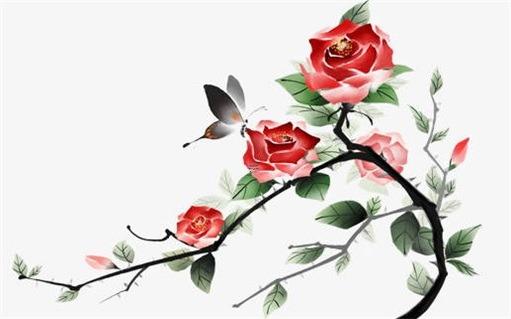 屬鼠男性配什么屬相女的 屬鼠女和什么屬相的男生相配
