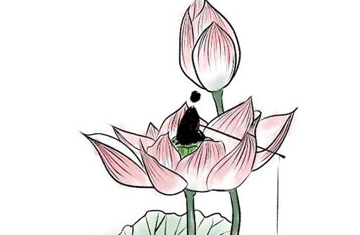 算命說我96分是什么意思 966命理