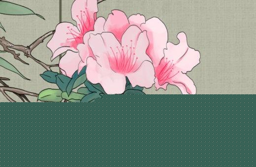 婚姻生辰八字重要嗎 婚姻八字很重要嗎